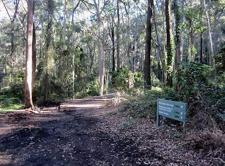 Blackbutt NSW mobile car detailing – interior extraction and exterior polish