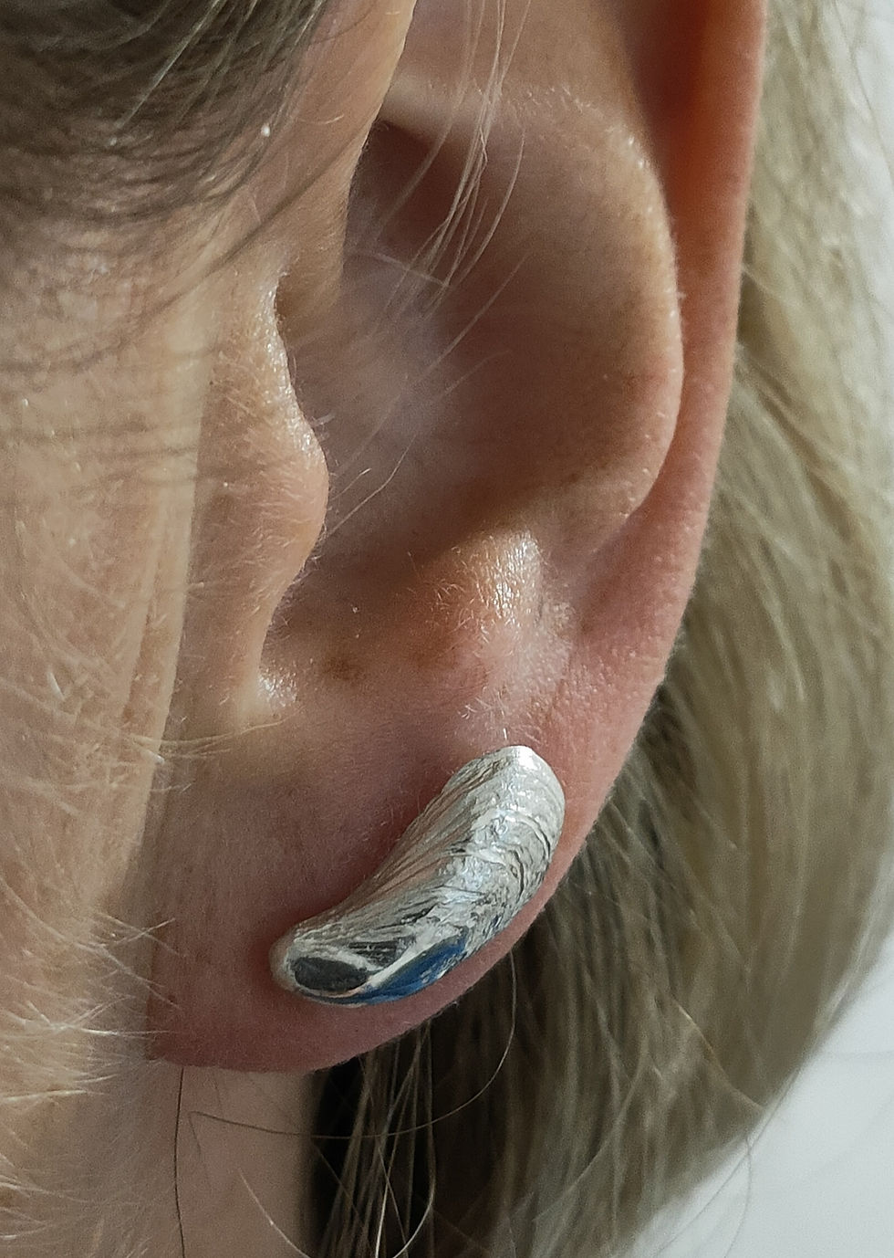 Thumbnail: Small Cornish Mussel Stud Earrings