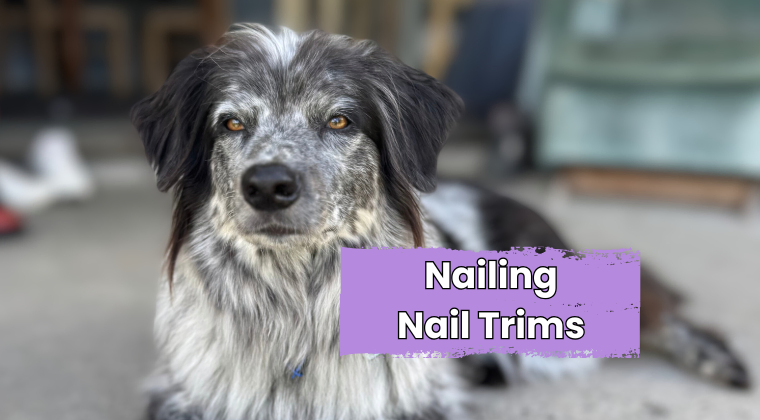 Nailing Nail Trims
