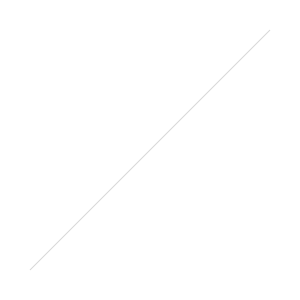 P1100238