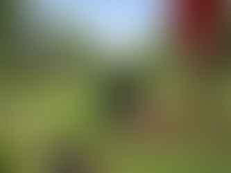 Spring Clean Up Services in Groton, Littleton & Westford, MA