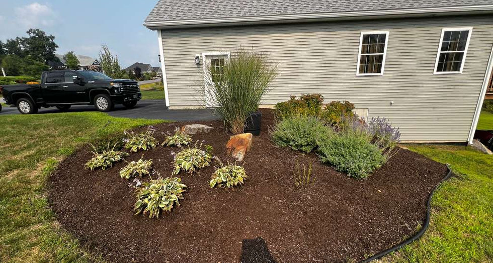 Mulched garden bed with plants in front of a house