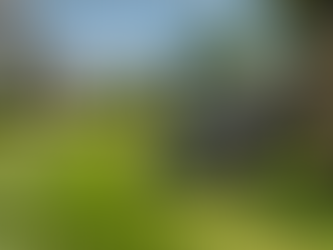 Lawn Mowing Services in Groton, Littleton & Westford