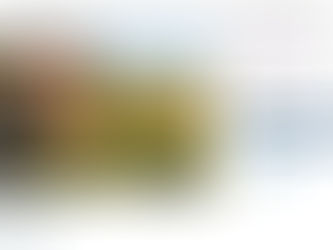 The Rise to Abolishing Porn and Only Fan Accounts on Social Media Platforms