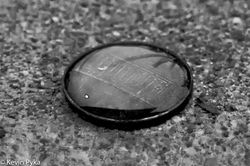 _DSC0069