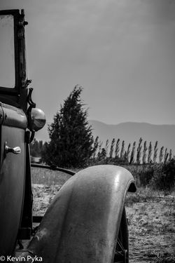 DSC_0042