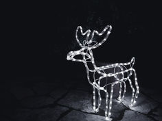 2020年　11月　重要時事問題まとめ