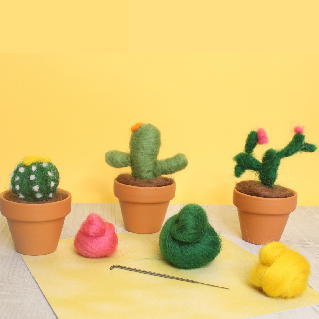 Cactus felting kit