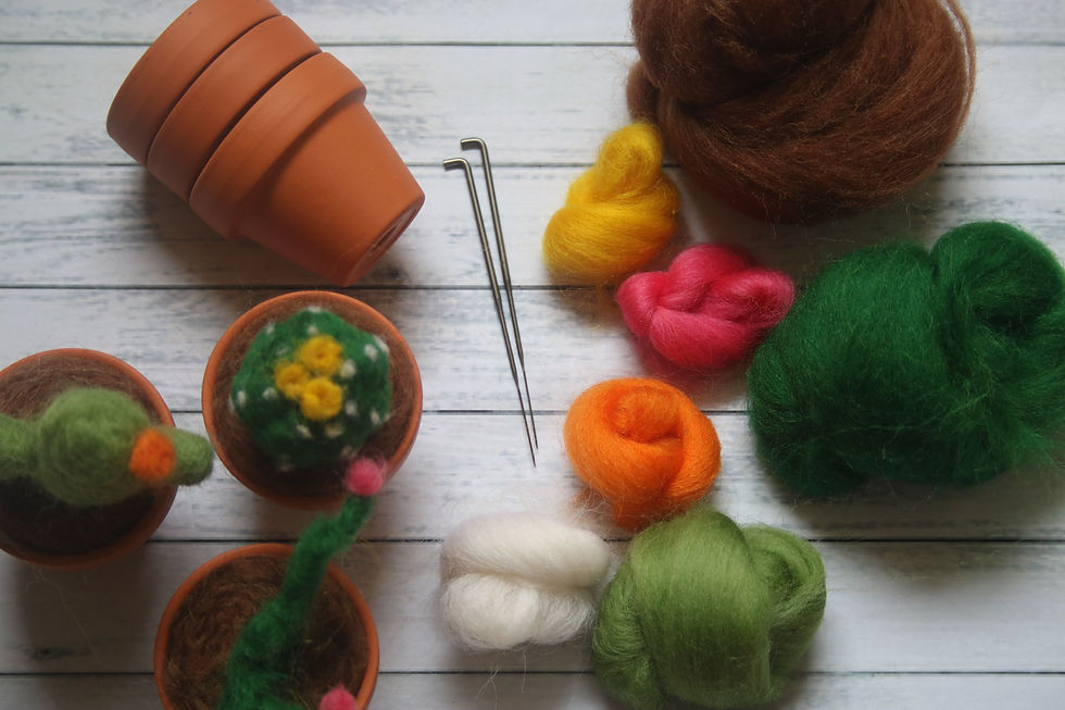 Thumbnail: Felting wool and needles for cactus kit