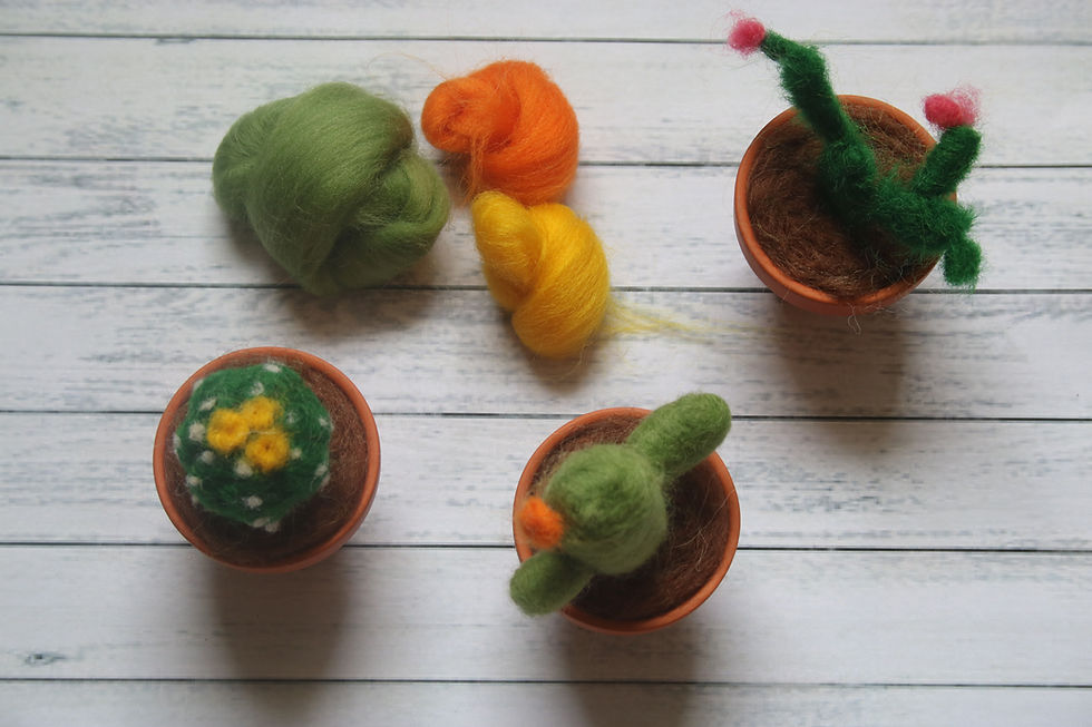 Thumbnail: mini cacti