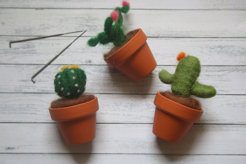 Thumbnail: cactus needle felting kit