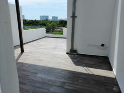 Roof Garden