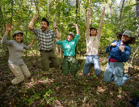 Field crew jumping for joy in the woods