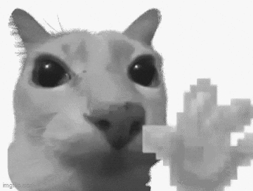 CatHelloGIF-ezgif.com-effects.gif