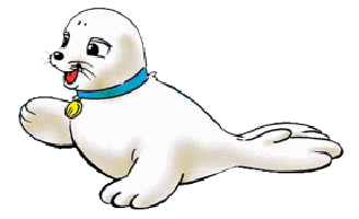 bibifoc1.gif
