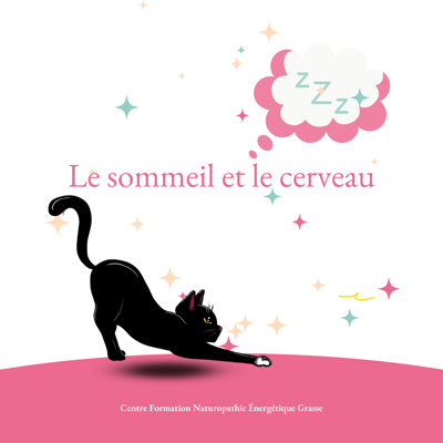 Le sommeil et le cerveau