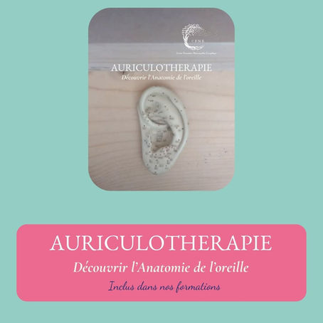 Les bienfaits de l’auriculothérapie