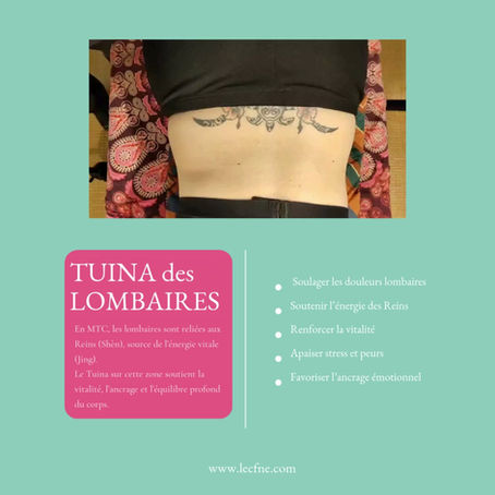 Tuina et zone lombaire : rôle des Reins et de l’énergie vitale en MTC