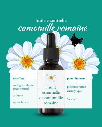 Huile essentielle de camomille romaine