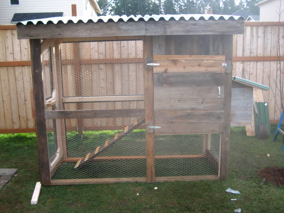 52402625_348763069299323_8997805100407717888_n