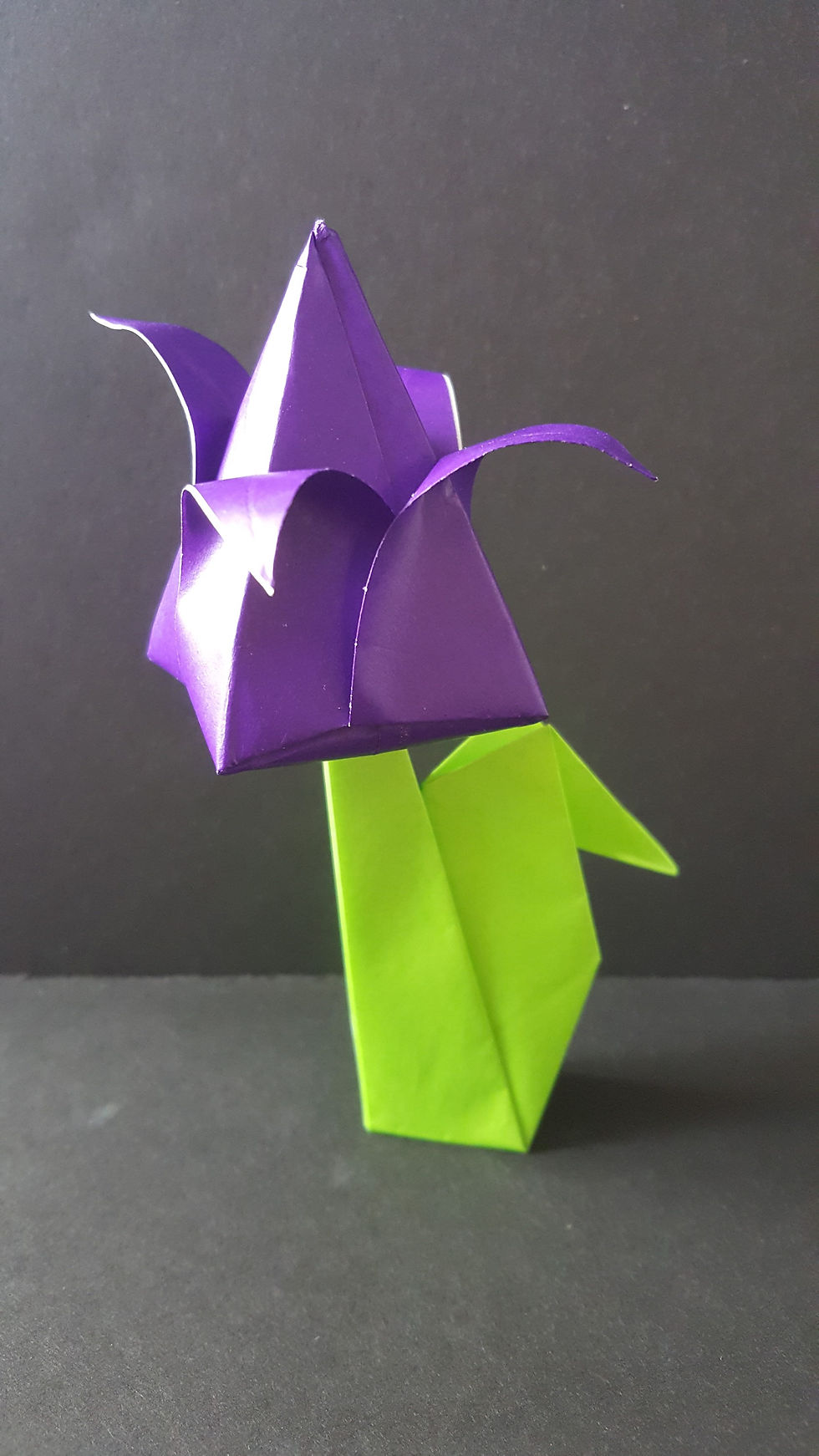 Origami Tulip and Stem