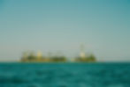 DSC00791.jpg