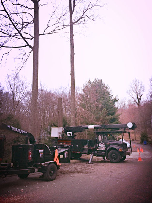 All Terrain Tree Removal Bucket Truck