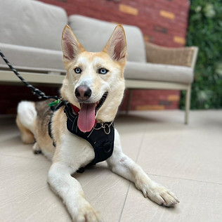 WhatsApp Image 2026-04-11 at 13.18.39.jpeg