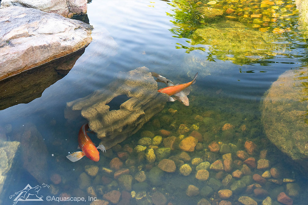 Thumbnail: 78324 Aquascape Faux Log Fish Cave