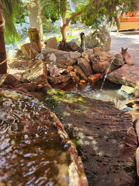 Pond, Farm, Flowers, Landscaping,Koi,Lotus, Ponds, Water Features, Swim Pond, Fountain, Pond Contractor, BackYard, Water, Wellness