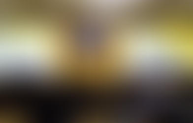 Watch: How We Got Trump: A View from History