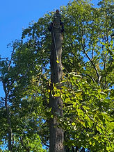 IMG_4727.jpeg