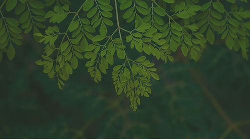 FMS - Website Banner 1366 x 768_edited.jpg