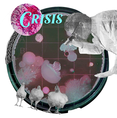 CRISIS council logo.png