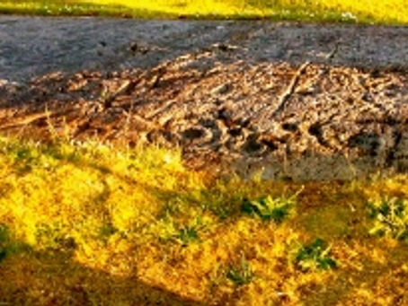 12,000 Steps through Kilmartin, Argyll    Bronze Age