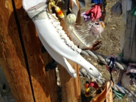 Autumn Equinox Wyoming Medicine Wheel