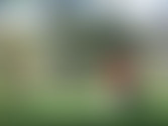 Water Line from Well to House: Installation Guide and Tips