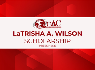 UNDERGRADUATE (5).png