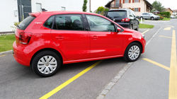 VW Polo Team