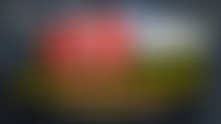 Generazione Terra 2026 - I nuovi interventi fondiari ISMEA dedicati ai giovani