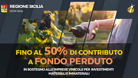 OCM Vino Sicilia – Misura Investimenti. Fondo perduto in sostegno alle imprese vinicole