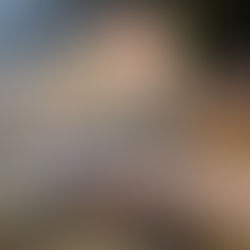 Schmidt snags sixth 2025 MSA win Â