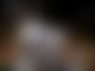 Karnitz claims MSA opener at Plymouth