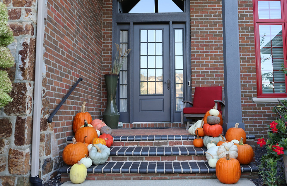 prairie-land-pumpkins-7.jpg
