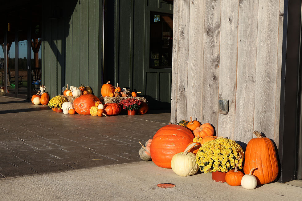 prairie-land-pumpkins-4.jpg
