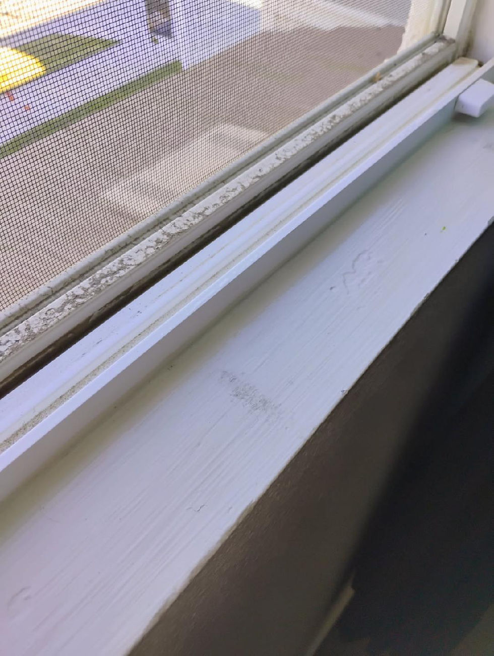 1000000260.jpg.adding