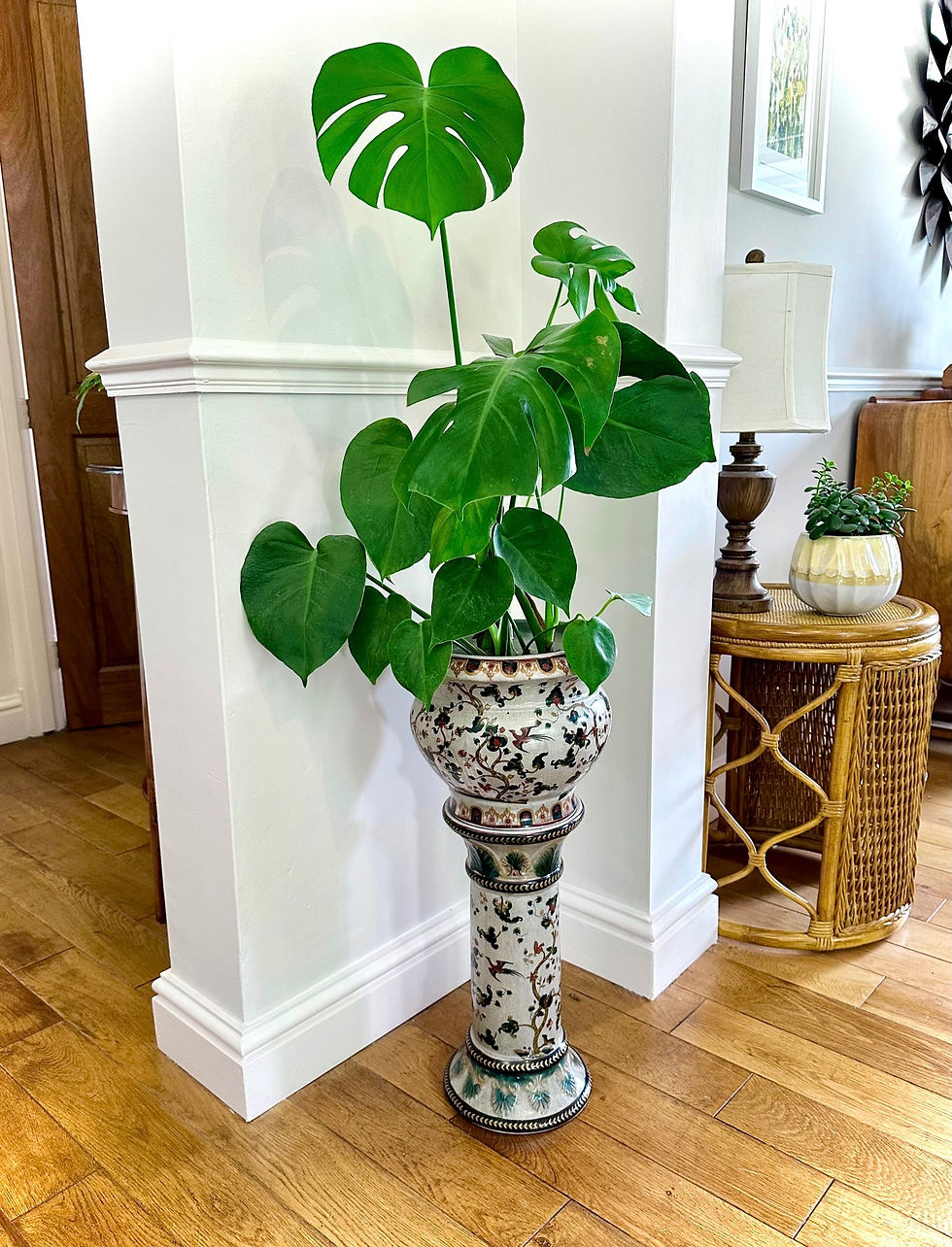 Thumbnail: Chinese Jardiniere *SOLD*