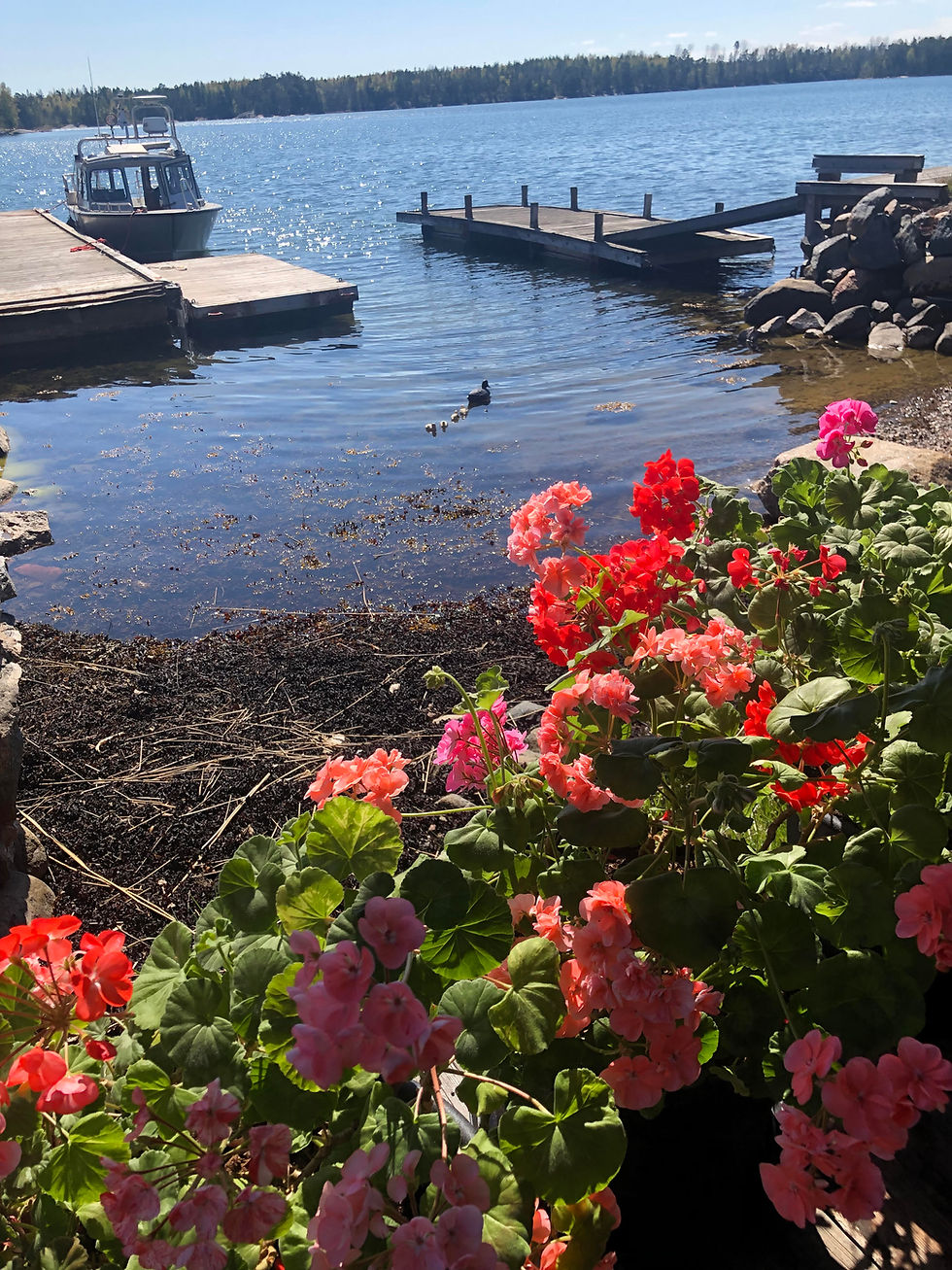 Vårvandring på vackra Stomnarö 11 maj utanför Spillersboda