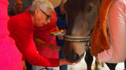 011-RP_cherbourg_hepad_WEB