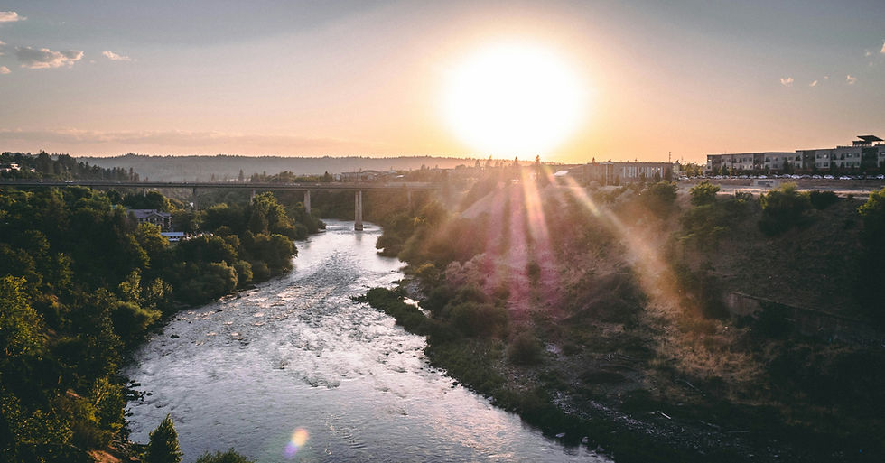 Eye-level view of a charming Spokane neighborhood with tree-lined streets
